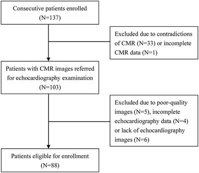 Agreement in Left Ventricular Function Measured by Echocardiography and Cardiac Magnetic Resonance in Patients With Chronic Coronary Total Occlusion